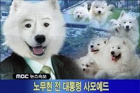 정치인/유명인, 노무현, nmh community portal dcinside. ì†ë³´ ë…¸ë¬´í˜„ ì „ ëŒ€í†µë ¹ ì‚¬ ì˜¤ë¥´ë¹„