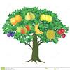 Everyday fruit and vegetables that don t grow how you d what fruit grows on the tree of knowledge 3 quarks daily. 1