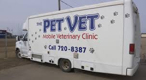 We can refer the other 5% to local area specialists. The Pet Vet Staying Open During Covid 19 To Help Pets Kx News