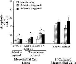 Transient knockdown of zeb1 expression with rna interference in four malignant pleural mesothelioma cell lines dramatically suppressed their in vitro growth. Resistance Of Pleural Mesothelioma Cell Lines To Apoptosis Relation To Expression Of Bcl 2 And Bax American Journal Of Physiology Lung Cellular And Molecular Physiology