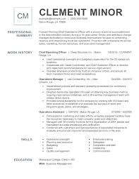 You should make yourself fit for your employer's shoes. Jobhero Business Operations Resume Examples