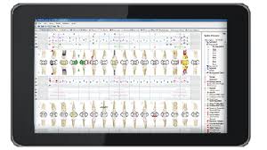 Periodontal Charting Can It Be Streamlined Panda Perio