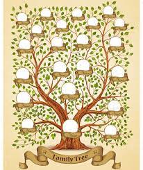 We did not find results for: Family Tree Template Family Tree Art Family Tree Printable Tree Art