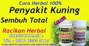 Penyakit yang dikenal juga sebagai penyakit kuning (jaundice) ini penularannya berbeda dengan vhb dan vhc, yakni melalui makanan dan minuman yang tercemar kotoran yang mengandung virus ini. Obat Penyakit Kuning Sangat Ampuh 3 Hari Sembuh