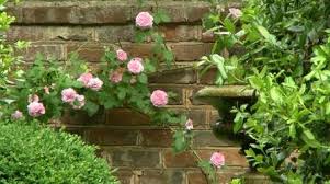 After harvesting crops, they can be useful in dungeons and during battle!with an overall metacritic score of 90. Creating Garden Spaces Trees And Shrubs 1703 Extras Virginia Home Grown Pbs