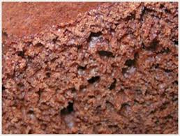 Biscuit De Savoie Au Chocolat Maman En Cuisine