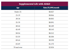 Optional supplemental life insurance allows you to buy extra coverage, typically four to six times your annual salary. Life Insurance Options