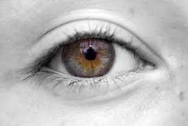 Check spelling or type a new query. Welcome To Los Gatos Vision Care Los Gatos Vision Care