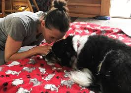 We did not find results for: Home Euthanasia For Pets L Acupetvet Veterinary Services Nh Me