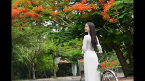 Chụp ảnh áo dài với hoa phượng tháng 5 - MissAoDai