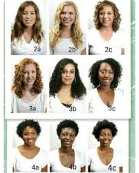 Hair Types Chart Google Search Capelli Ricci Naturali