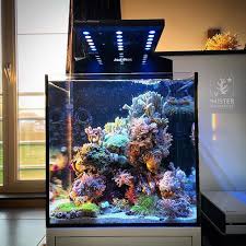 Pin On Reef Tanks