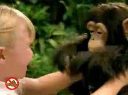 Furreal Cuddle Chimp And Newborn Chimp Commercial Youtube