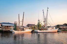 Charleston Sc Official Account On Instagram Dreaming Up Your 2020 Bucket List Visit The Link In Our Profile To Discover 100 Things To Do In Charleston Before