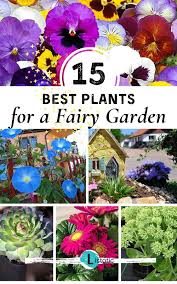Though tiny, they're one of the best smelling flowers you'll encounter. 15 Of The Best Fairy Garden Plants And Flowers Listotic