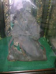 pin on sarwat