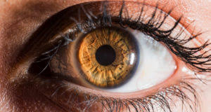 We did not find results for: What Is The Recovery Time After Detached Retina Surgery Nvision Eye Centers