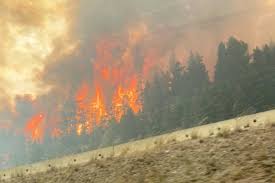 Wildfires are occurring in parts of bc. G 6blfduiztqgm