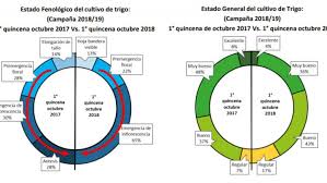 Los datos sobre el tiempo, temperatura, velocidad del viento, la humedad, la cota de nieve, presión, etc. El Trigo Sufre Por El Clima En Cordoba Ruralnet