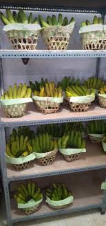 Detik detik majikan keluarkan pisang mau perkosa tkw arab di mekah. Pisang Grosir Ready Terus Everyday Pisang Ambon Tawi Facebook