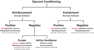 Diagram Of Operant Conditioning Raffaellamilanesi Net