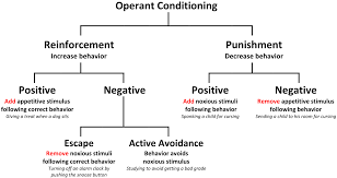 diagram of operant conditioning raffaellamilanesi net