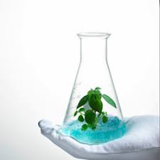 View 1,322 biotechnology jobs in malaysia at jora, create free email alerts and never miss another career opportunity again. Biotechnology Career Options Job Opportunities Courses Salary