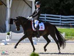 Der berliner eiskunstläufer paul fentz hat mit 230,01 punkten nach. Em Sensationelle Einzel Ergebnisse Der Osterreicher Equestrian Worldwide Pferdesport Weltweit Eqwo Net