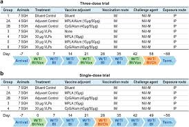 Get your child immunized at right time. A Vlp Based Vaccine Provides Complete Protection Against Nipah Virus Challenge Following Multiple Dose Or Single Dose Vaccination Schedules In A Hamster Model Npj Vaccines