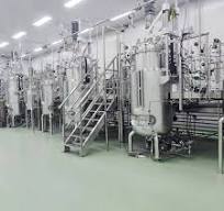 Fermentador 50l Reator de produto de fermentação produção de vacinas  biorreatores de aço inoxidável