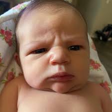 David Handy (@itsdavidhandy) • Instagram photos and videos