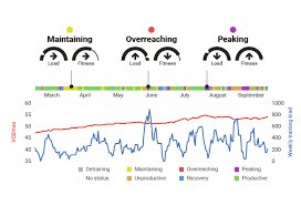 Garmin Fenix 6 Firstbeat Insights The5krunner