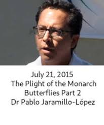 Open Circle Ajijic 2015