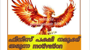 Phoenix bird quotes & sayings | phoenix bird picture quotes. à´¨ à´™ à´™àµ¾ à´'à´° à´• à´•à´² à´¤ àµ½à´• à´• àµ» à´¤à´¯ à´± à´µà´° à´¤ Win Like A Phoenix Bird Malayalam Motivation Youtube