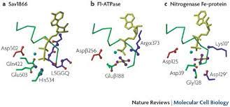 This does not mean that there is an ongoing risk associated with the premises. Abc Transporters The Power To Change Nature Reviews Molecular Cell Biology