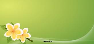 Natural Beauty Of Green Grass Cycling Apple Letters Printed Background In 2020 Spring Flowers Background Flower Background Images Flower Backgrounds