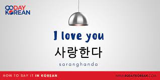 How to say i love you in korean. How To Say I Love You In Korean 6 Ways To Express It