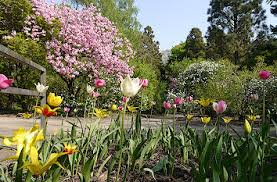 Quermania Forstbotanischer Garten Koln Parkanlage Botanische Raritaten Waldahnlicher Park