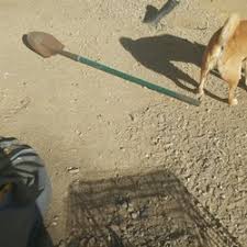 Последние твиты от antac pest control (@antacpest). Antac Pest Control 33 Photos 88 Reviews Pest Control 5735 Kearny Villa Rd Kearny Mesa San Diego Ca Phone Number