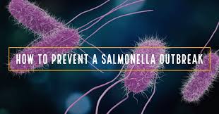You can't see, smell, or taste it. Salmonella The Most Common Bacterial Foodborne Disease Safe Food Alliance