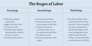 Image result for First Stage of Labor