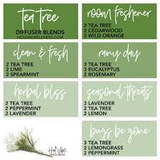 Tea Tree Diffuser Blends Essential Oil Diffuser Blends Recipes Diffuser Blends Essential Oil Diffuser Recipes
