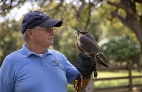 Falconry
