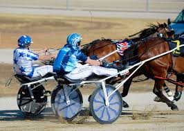 Shepparton reinsman Mark Pitt creates history in Tasmania