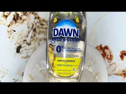 DAWN FREE & CLEAR DISHWASHING LIQUID Review