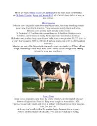 Life expectancy is based on several factors, including the conditions in which jersey cows live. Breeds Of Dairy Cows In Australia