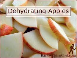 Besides a food dehydrator and apples, you only need a knife, acidulated water (water with vinegar or lemon juice) and jars for storage. Dehydrating Apples 5 Projects For Apple Lovers