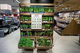 Blog Posts Mizkan Modern Food Merchandising Displays