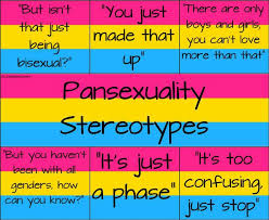 One way of experiencing aesthetic. Pansexual Pride Home Facebook