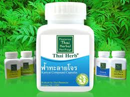 ฟ้าทะลายโจร สมุนไพรไทยที่มีสรรพคุณป้องกันไข้หวัด ล่าสุดมีข่าว ฟ้าทะลายโจร รักษาและป้องกันไวรัสโคโรนา หรือ โควิด 19 ได้ จนทำให้สมุนไพรชนิด. à¸Ÿ à¸²à¸—à¸°à¸¥à¸²à¸¢à¹‚à¸ˆà¸£ Thai Herb à¸ªà¸¡ à¸™à¹„à¸žà¸£ à¸Šà¸°à¸¥à¸­à¸„à¸§à¸²à¸¡à¹€à¸ª à¸­à¸¡à¸‚à¸­à¸‡à¸£ à¸²à¸‡à¸à¸²à¸¢